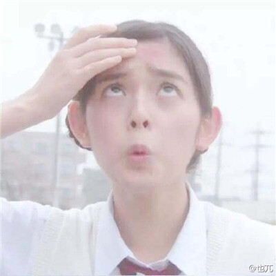 成功的伴游服务的关键因素