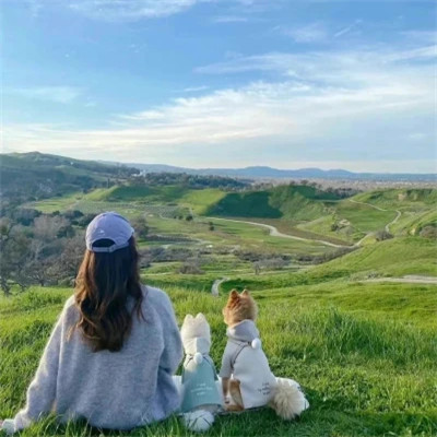 伴游招聘前如何提高自己的专业素养