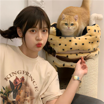 云南伴游女生茅紫杉的资料